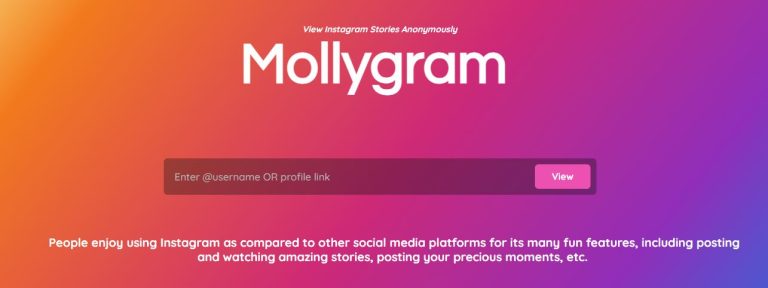 Mollygram insta